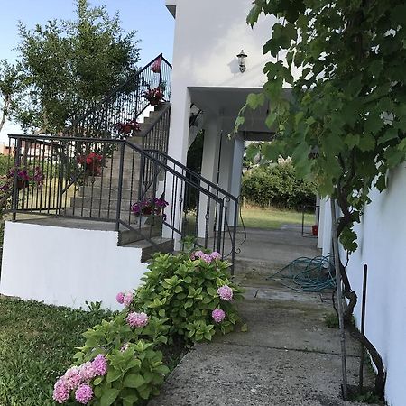 Apartmani Dragana Herceg Novi Eksteriør billede