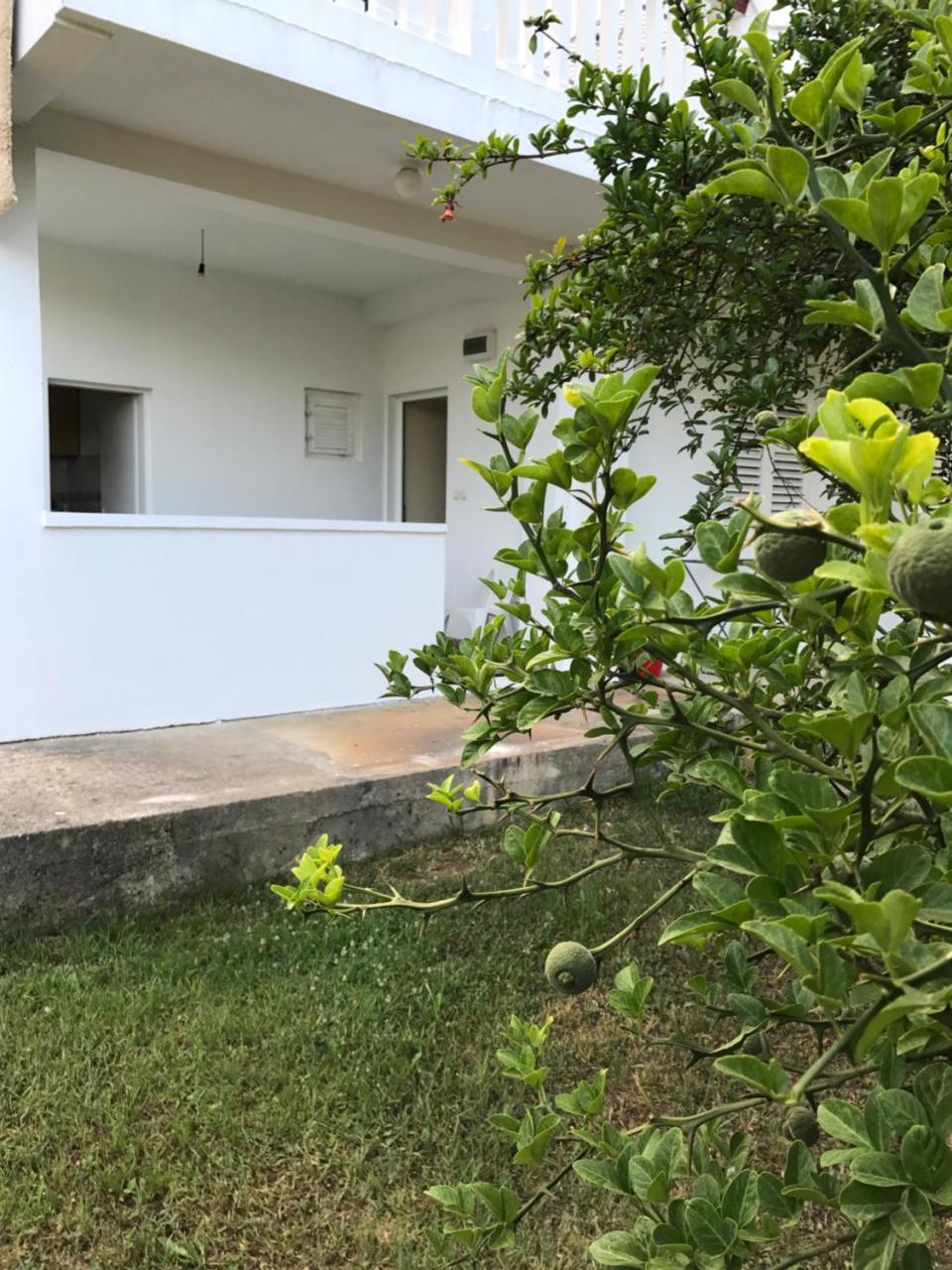 Apartmani Dragana Herceg Novi Eksteriør billede